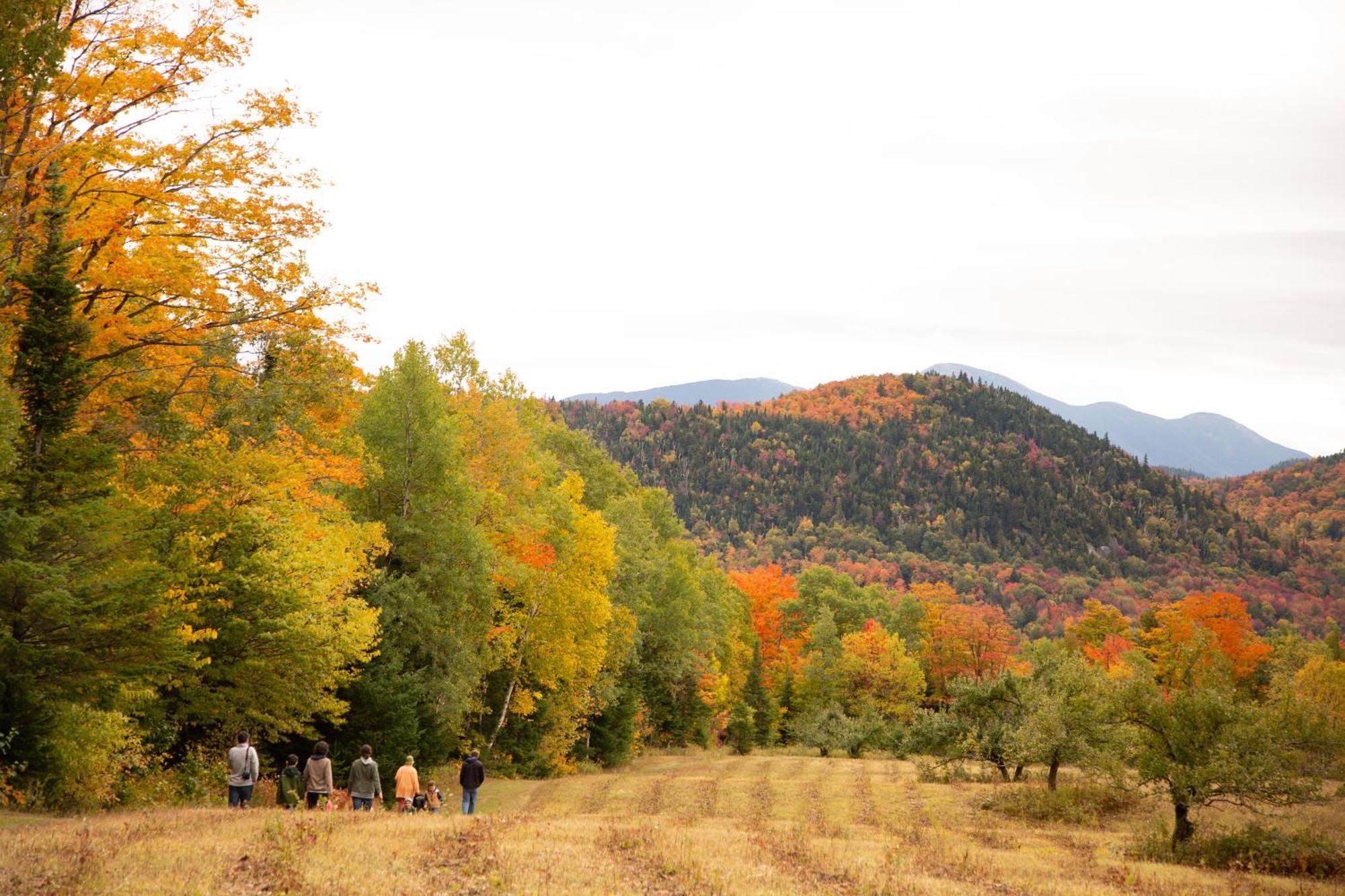 Lake Placid Inn: Main Street ภายนอก รูปภาพ