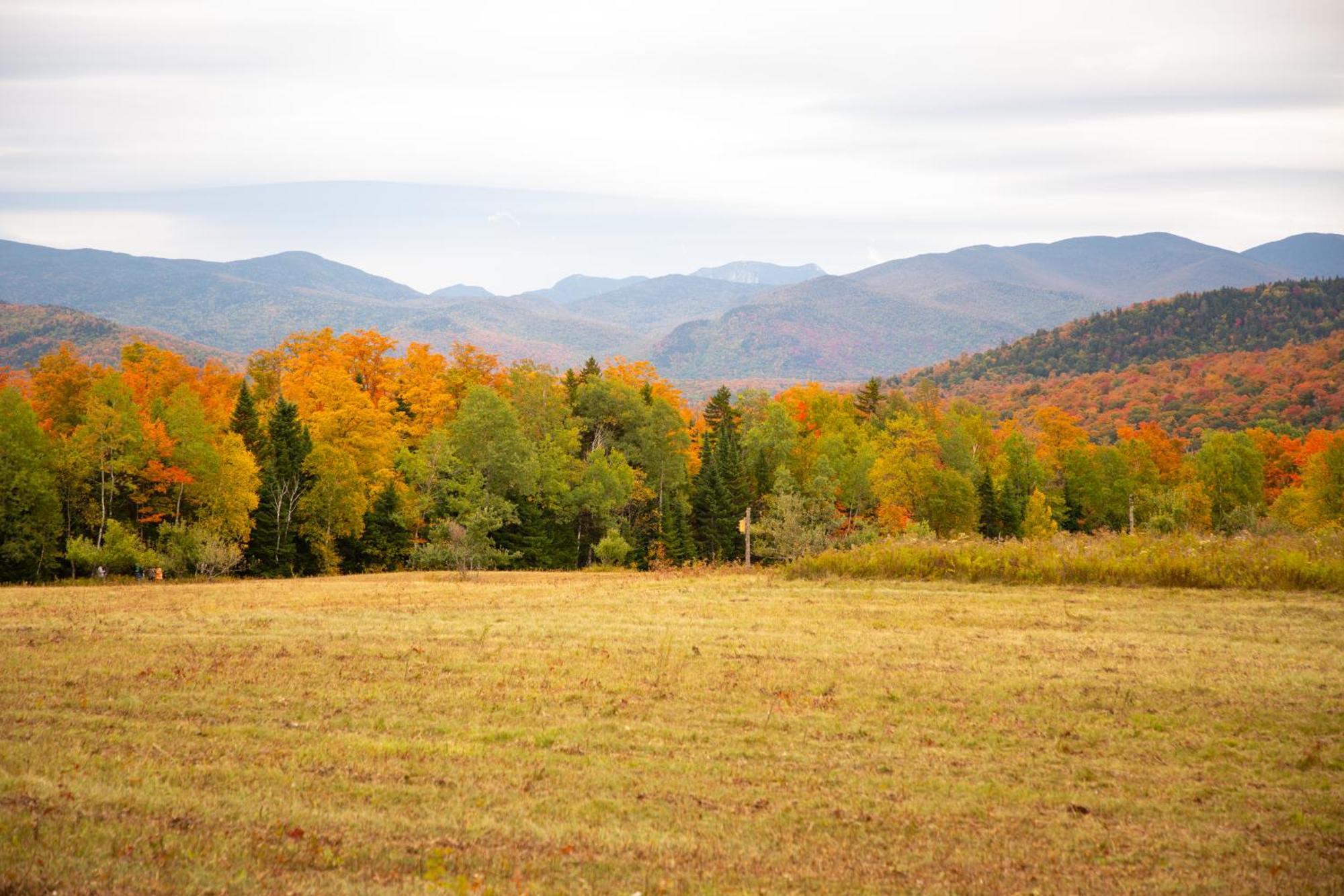 Lake Placid Inn: Main Street ภายนอก รูปภาพ